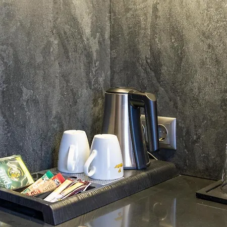 Hotel Plaza Schwerin; Sure Collection By Western 4*